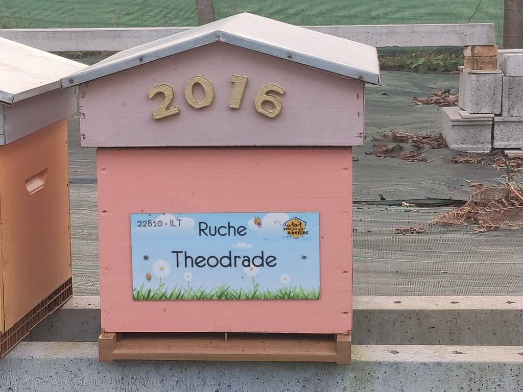 La ruche Theodrade