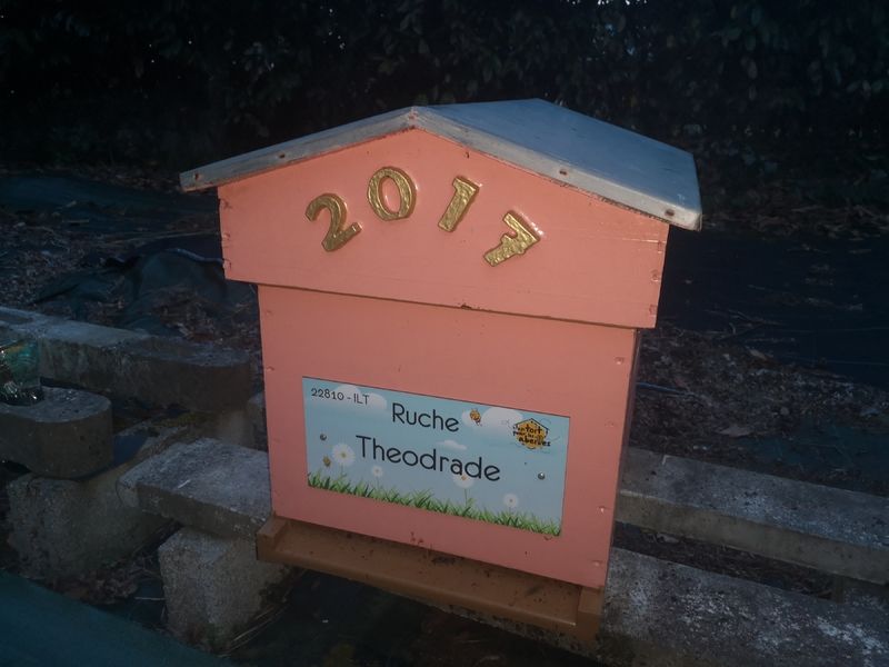 La ruche Theodrade