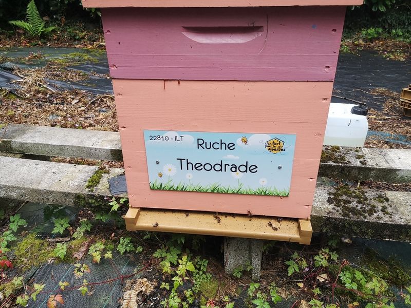 La ruche Theodrade