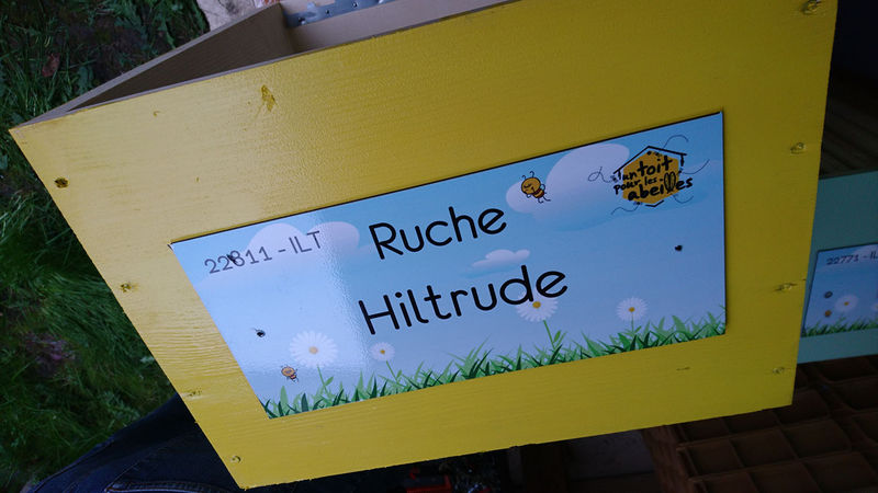 La ruche Hiltrude