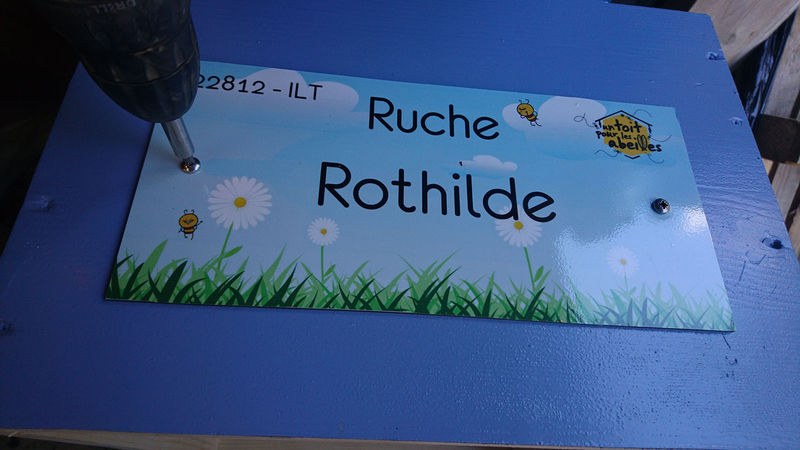 La ruche Rothilde