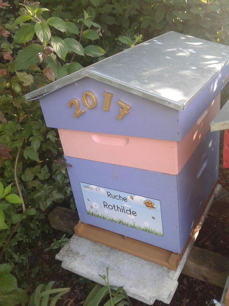 La ruche Rothilde