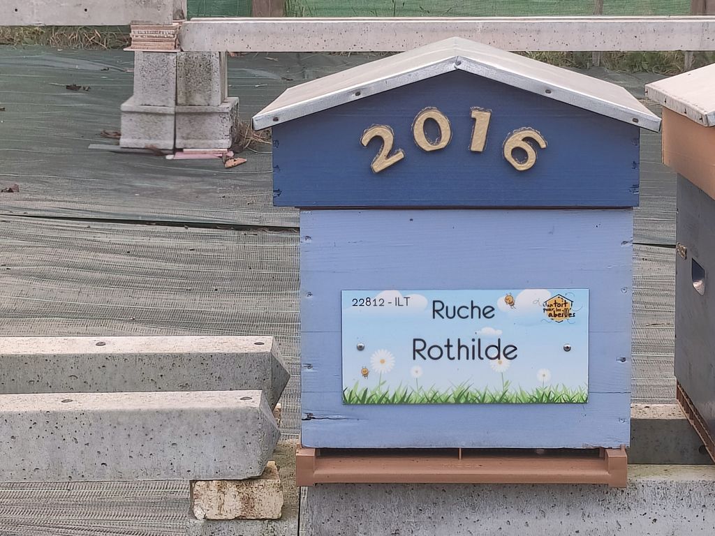 La ruche Rothilde