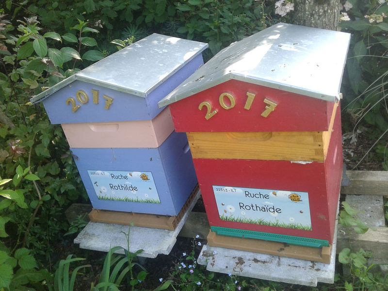 La ruche Rothaïde
