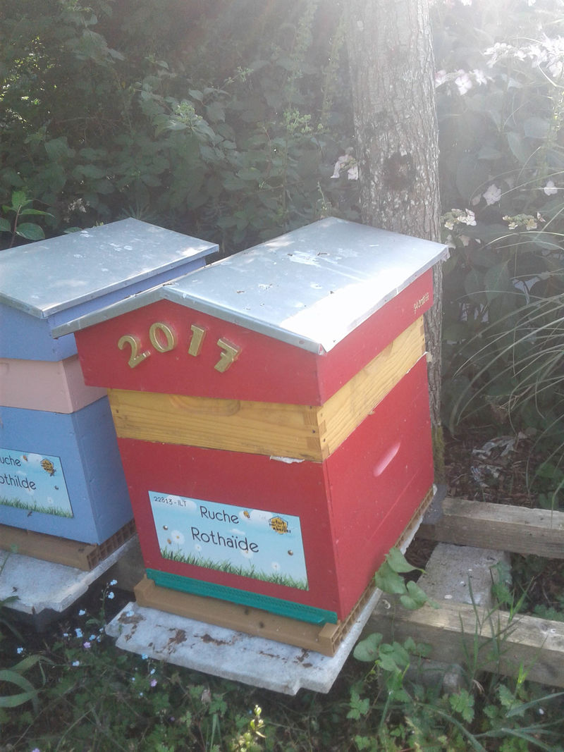 La ruche Rothaïde