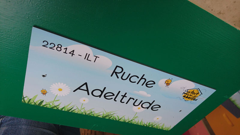 La ruche Adeltrude