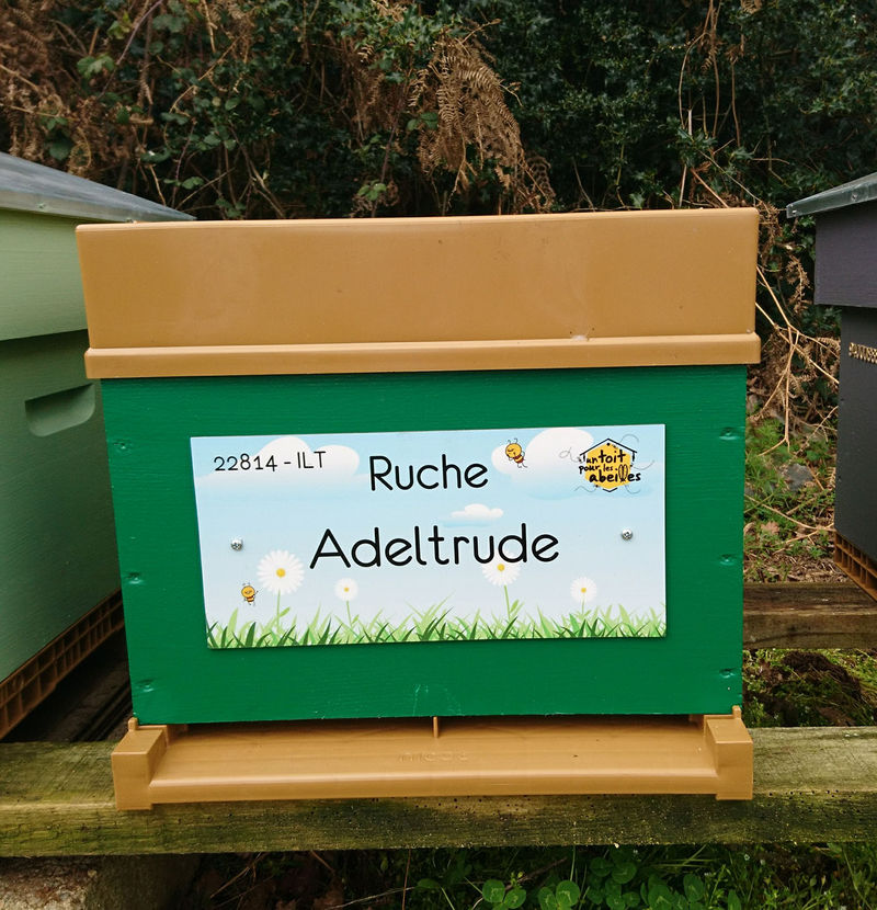 La ruche Adeltrude