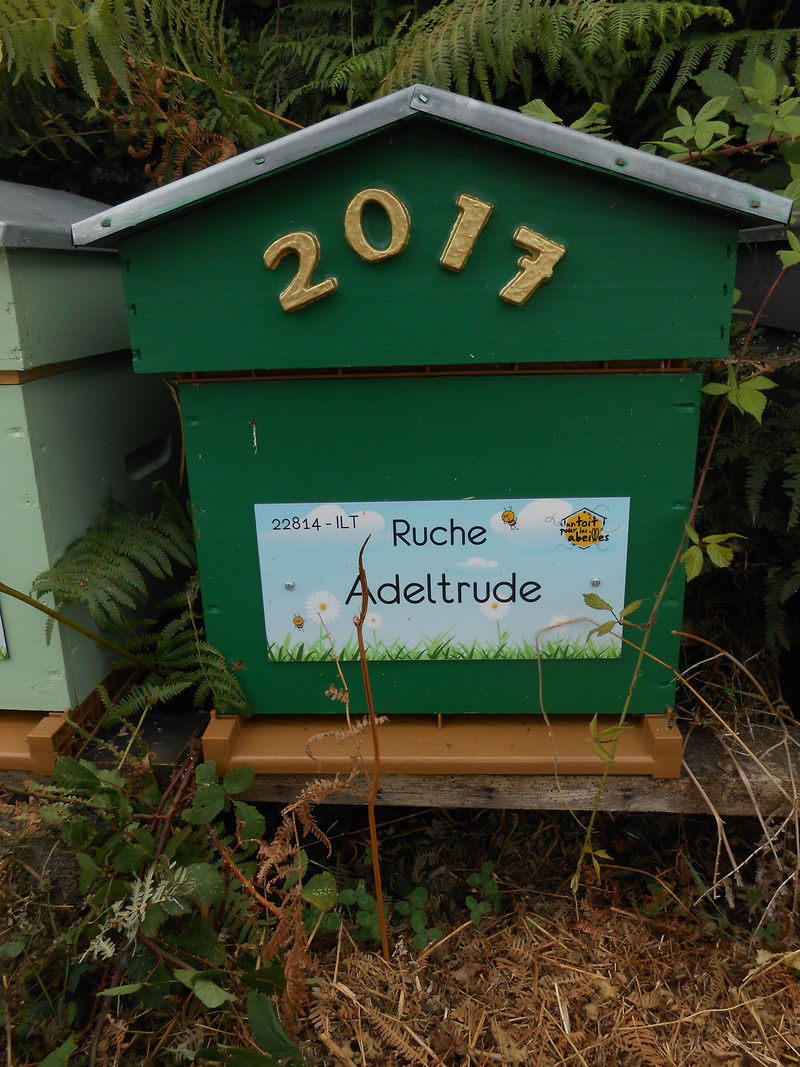 La ruche Adeltrude