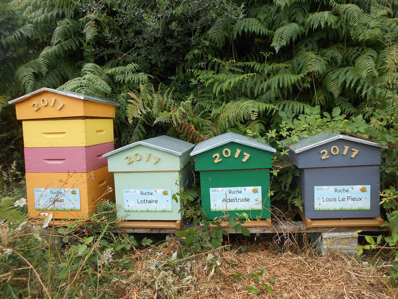 La ruche Adeltrude