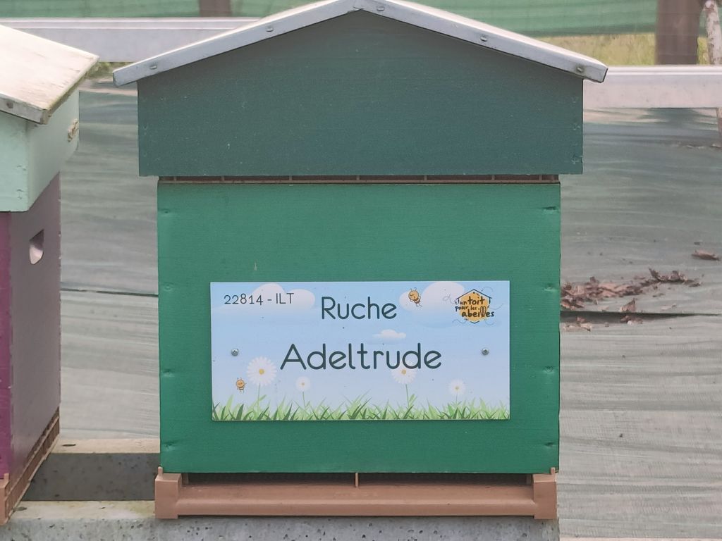La ruche Adeltrude