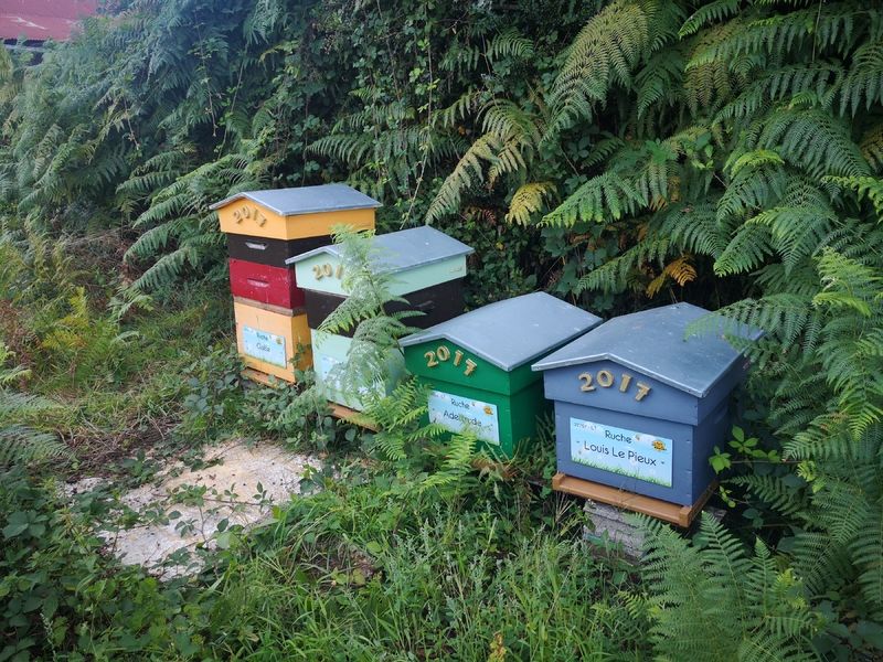 La ruche Adeltrude