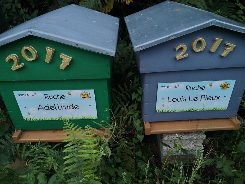 La ruche Adeltrude