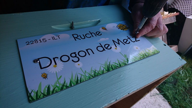 La ruche Drogon de Metz