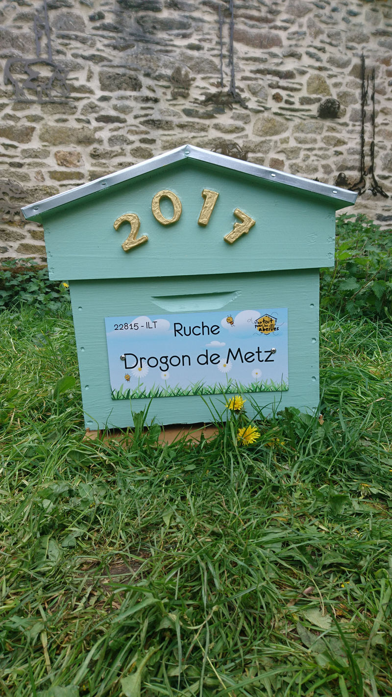 La ruche Drogon de Metz