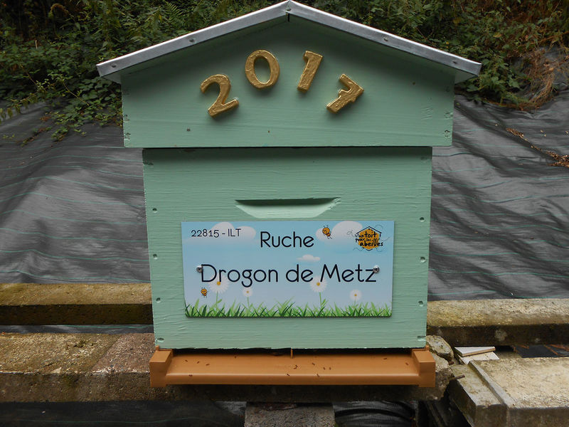 La ruche Drogon de Metz