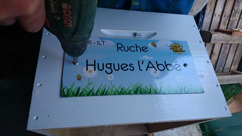 La ruche Hugues l