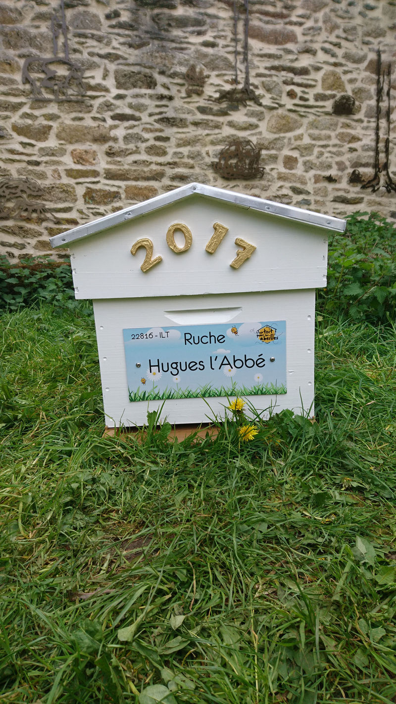 La ruche Hugues l