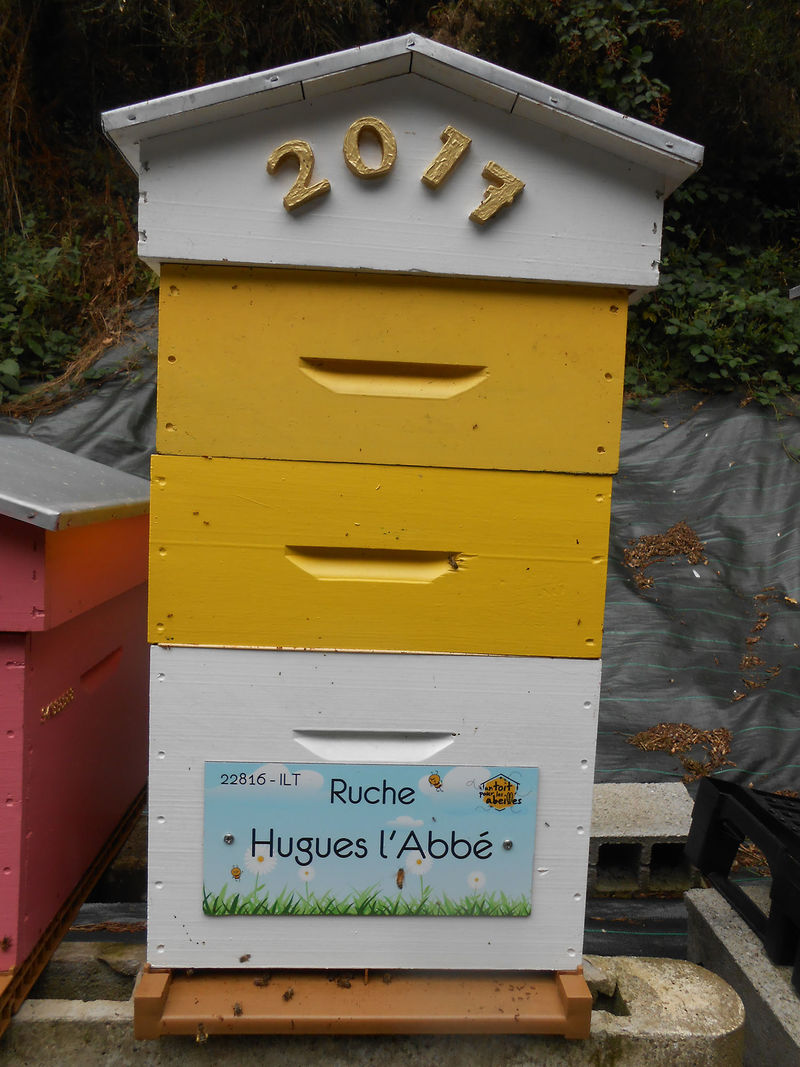 La ruche Hugues l