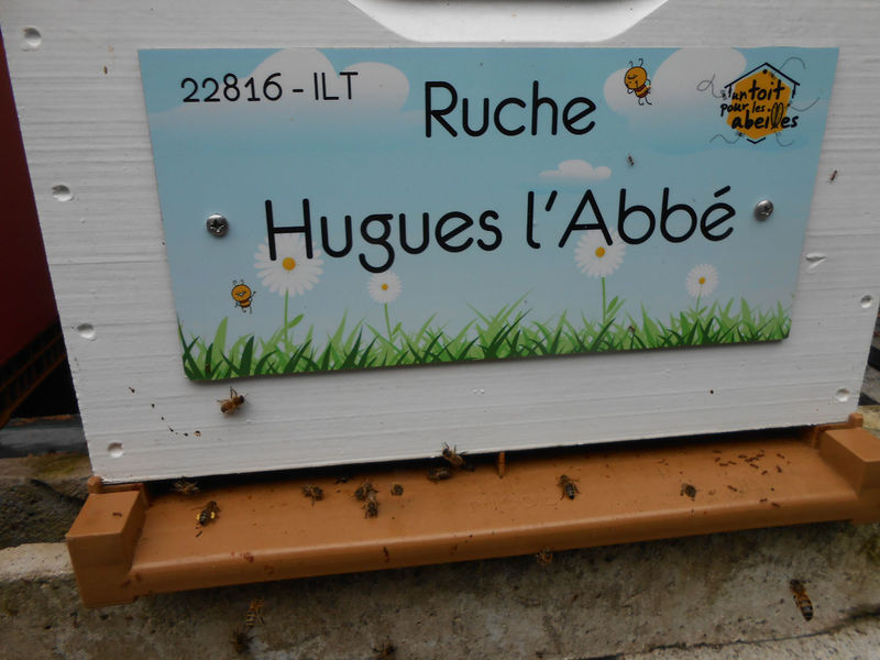 La ruche Hugues l