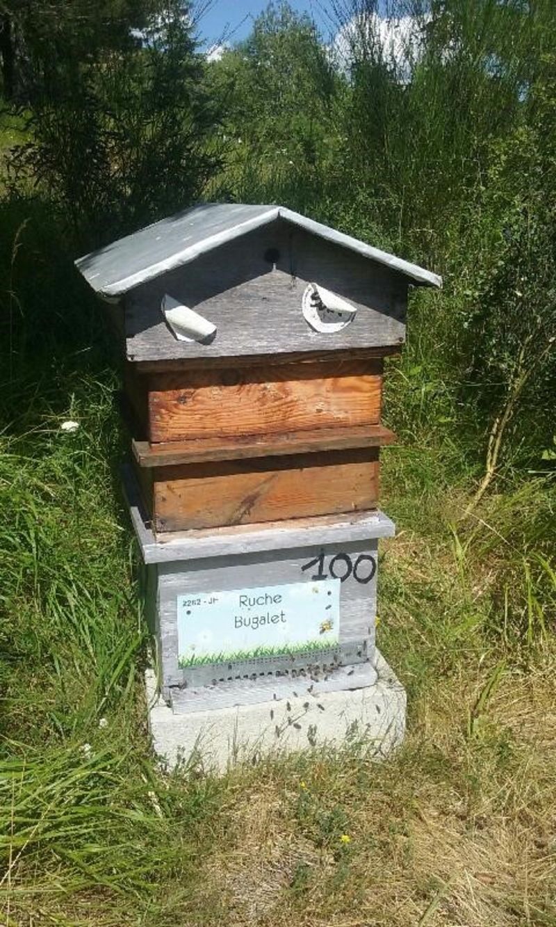La ruche Bugalet