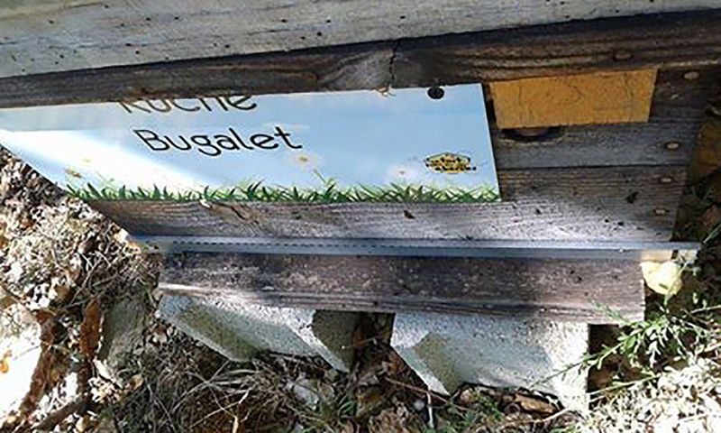 La ruche Bugalet