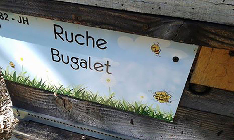 La ruche Bugalet