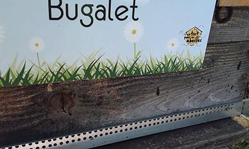 La ruche Bugalet