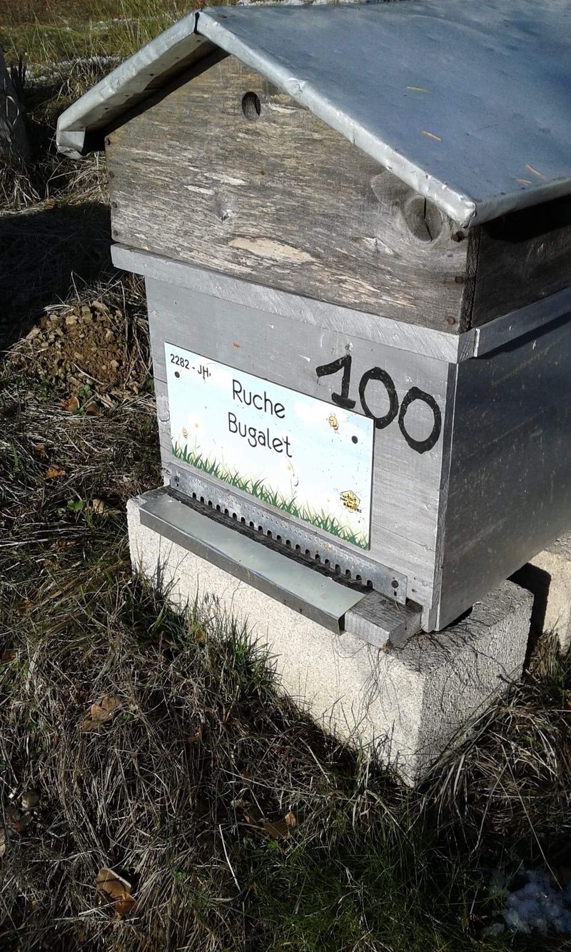 La ruche Bugalet
