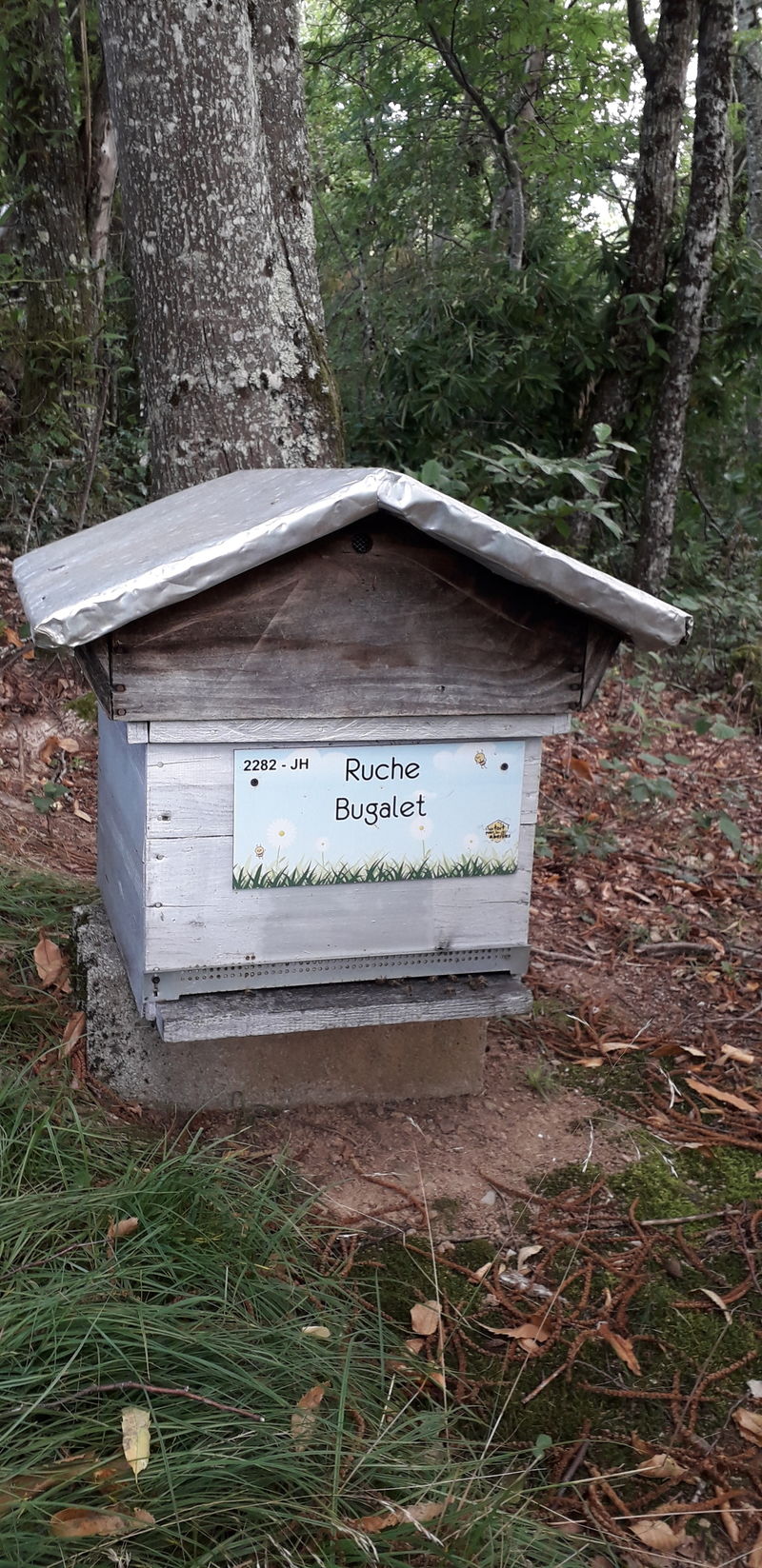 La ruche Bugalet
