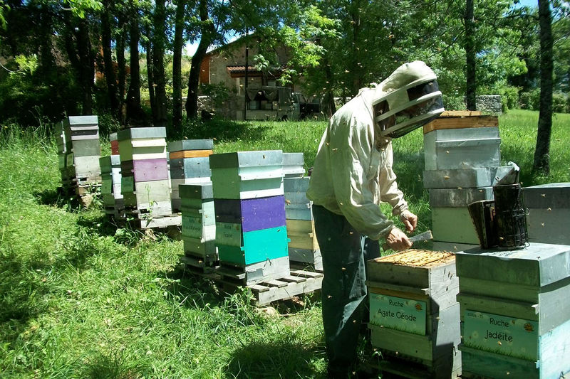 La ruche Agate Géode