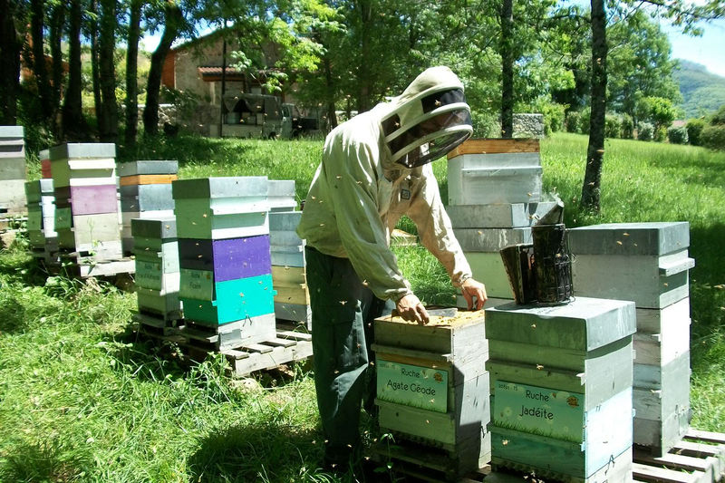 La ruche Agate Géode