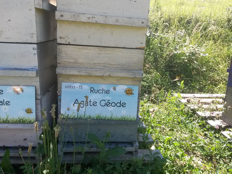 La ruche Agate Géode