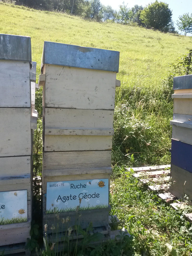 La ruche Agate Géode