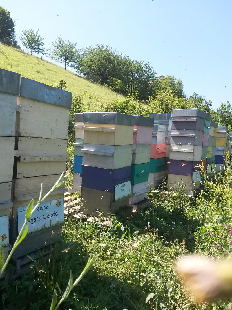 La ruche Agate Géode