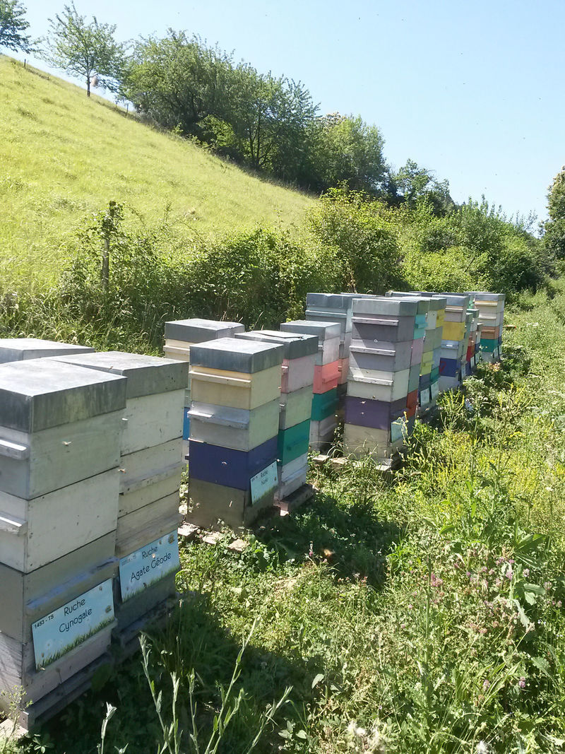 La ruche Agate Géode