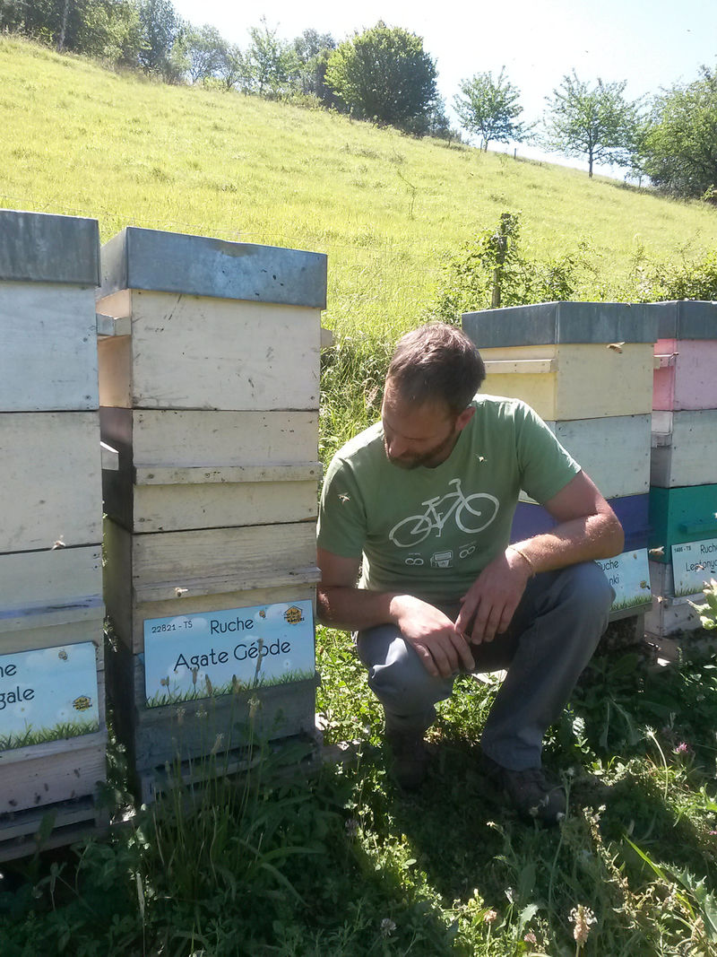 La ruche Agate Géode