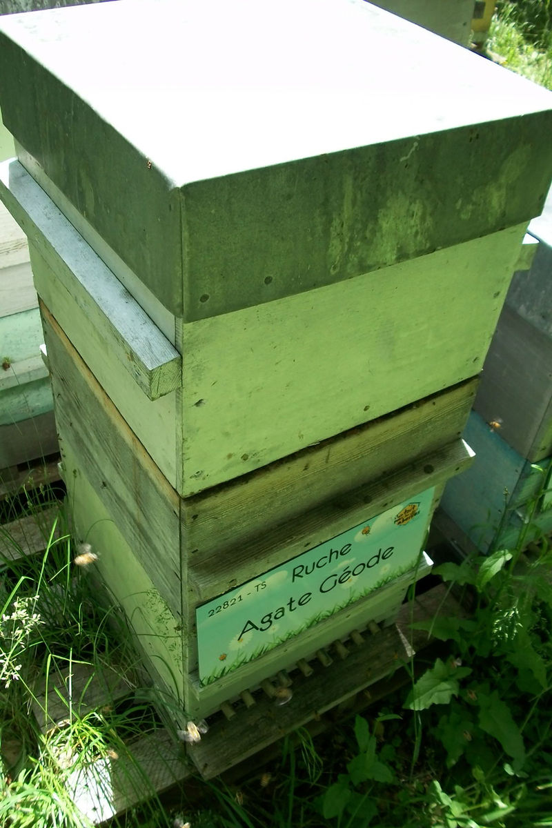 La ruche Agate Géode