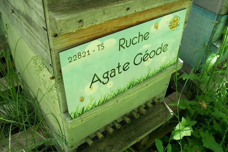 La ruche Agate Géode
