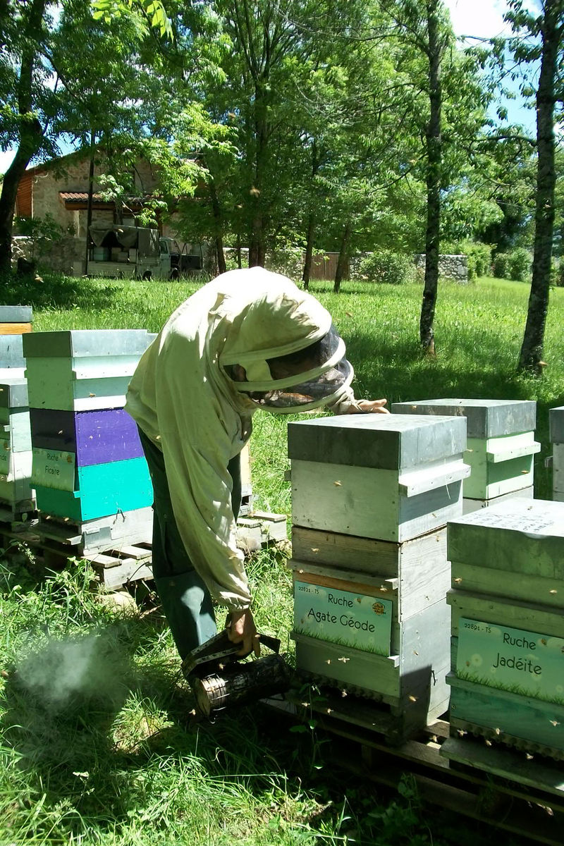 La ruche Agate Géode