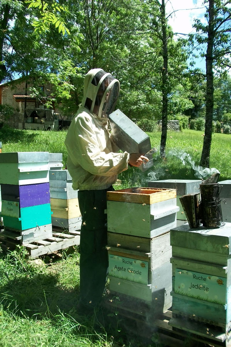 La ruche Agate Géode