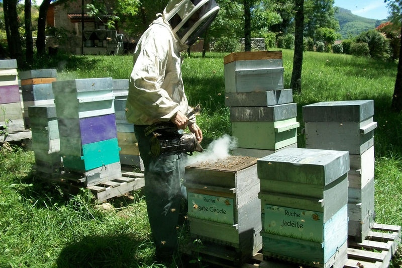 La ruche Agate Géode