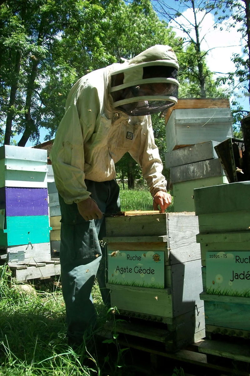 La ruche Agate Géode