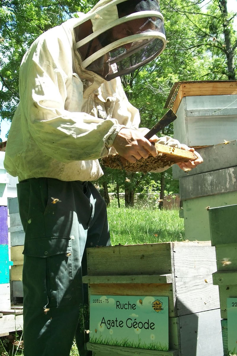 La ruche Agate Géode