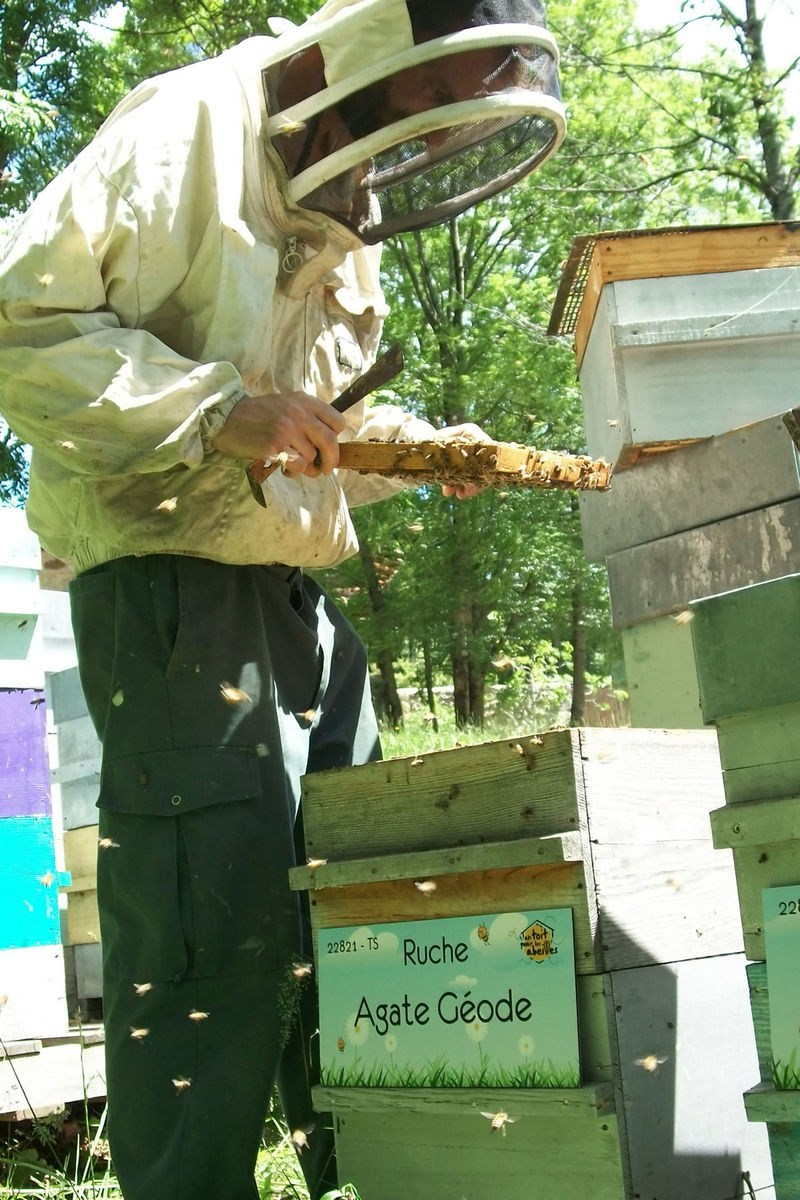 La ruche Agate Géode