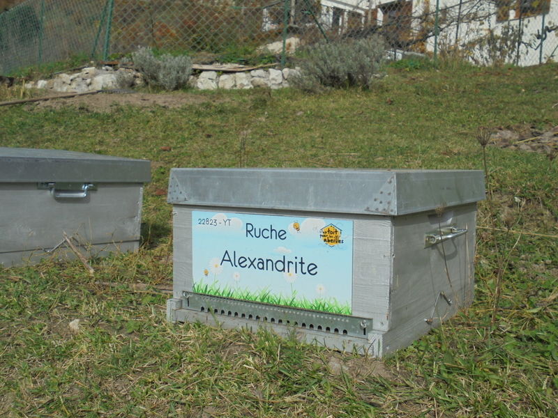 La ruche