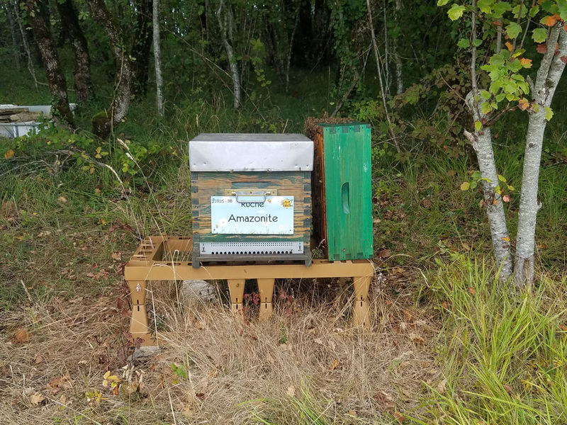 La ruche Amazonite