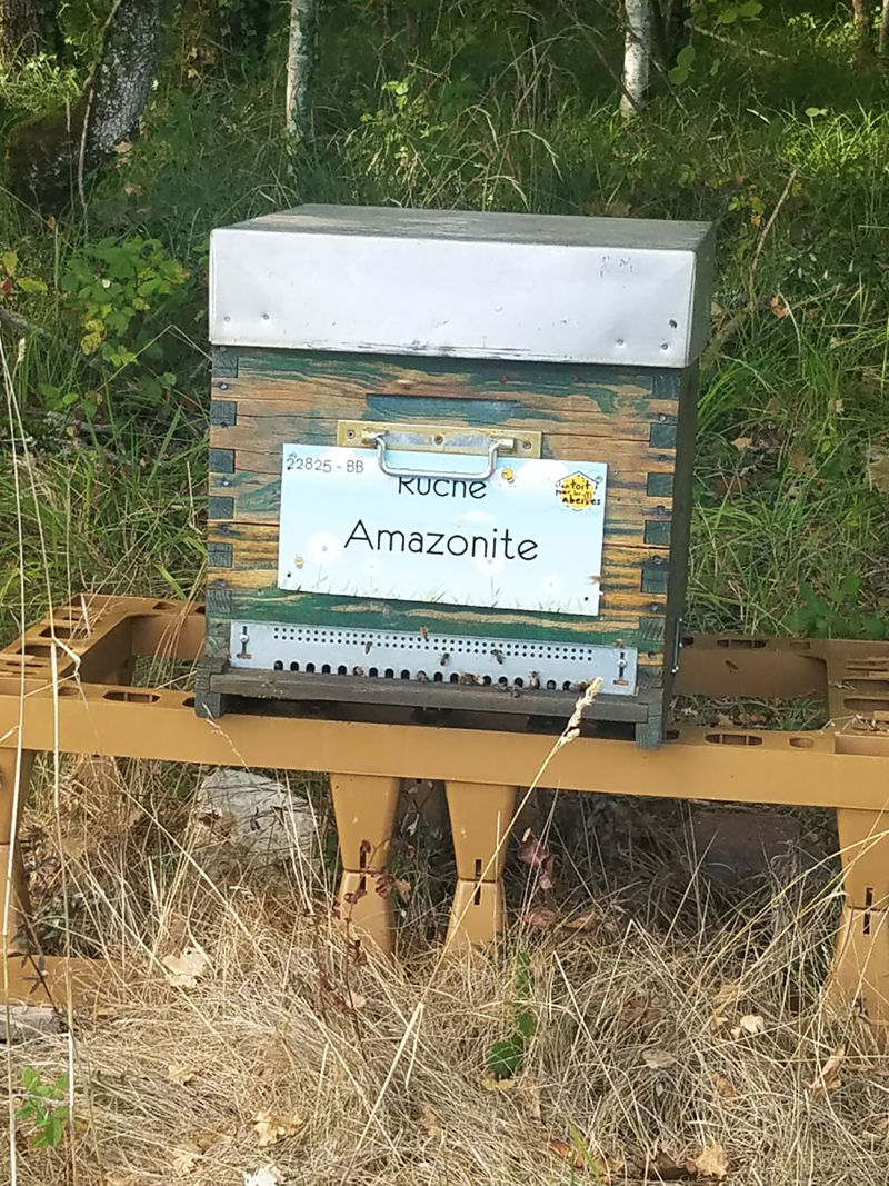 La ruche Amazonite