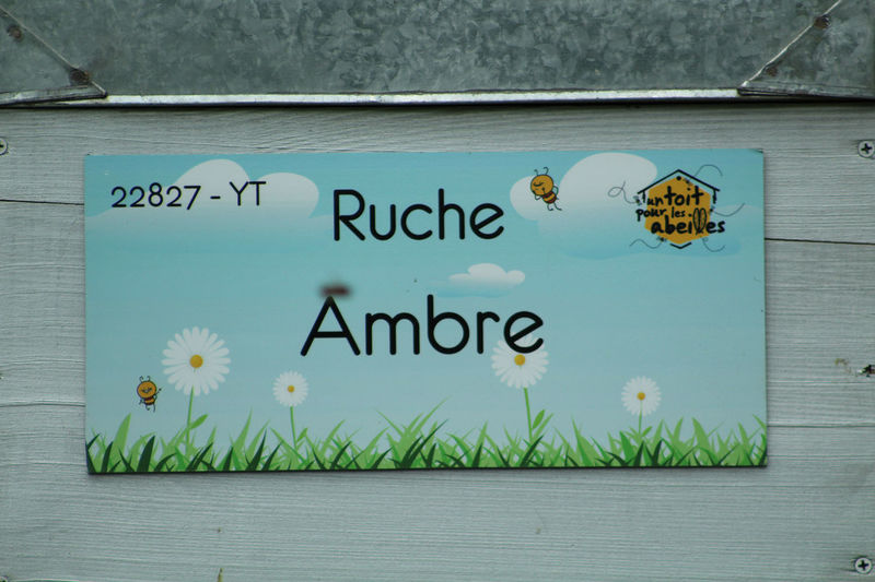 La ruche Ambre