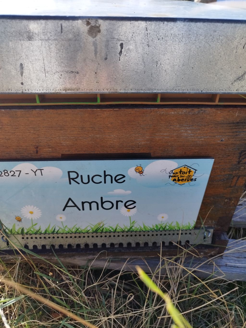 La ruche Ambre