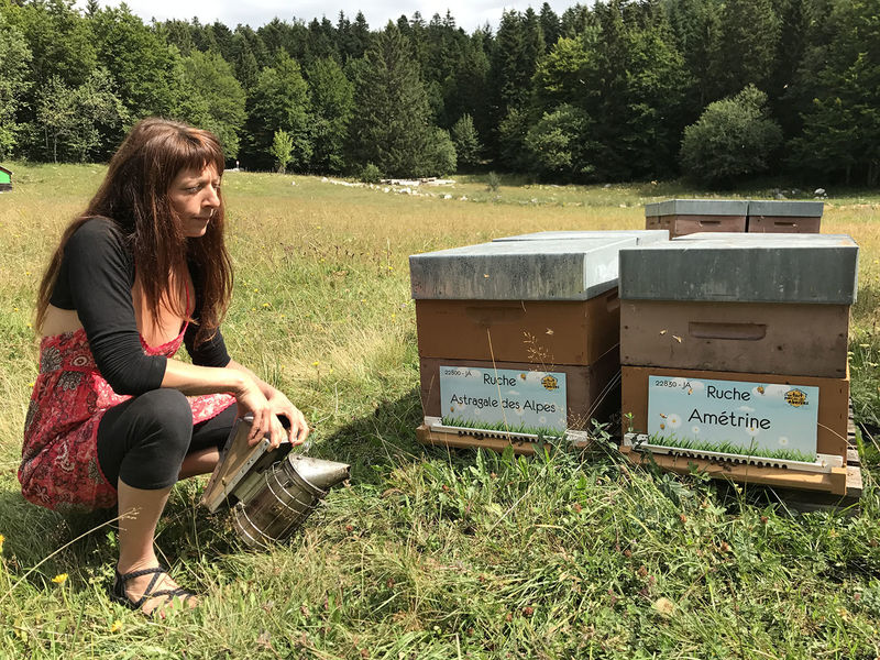 La ruche Amétrine